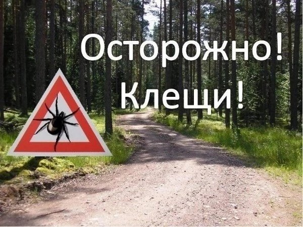 Безопасные каникулы